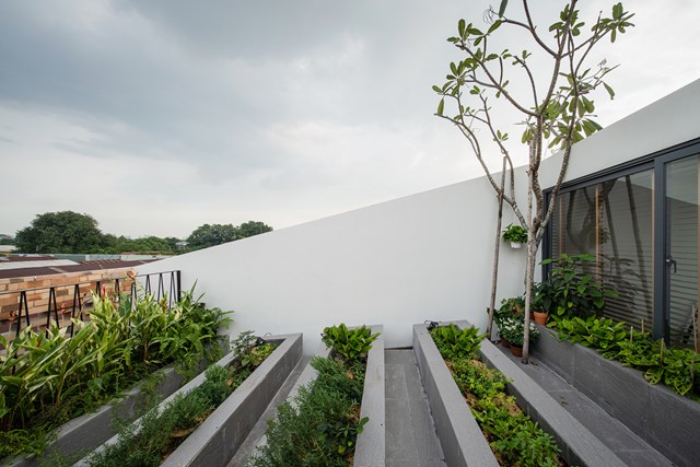 Nhà được bao phủ bởi nhiều lớp gạch thô và cây xanh - Ảnh 12