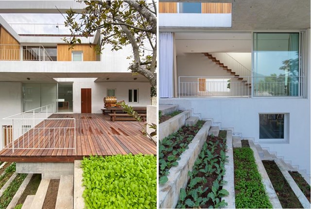 C&aacute;c bậc thang d&agrave;i ngang được đục lỗ để giảm nhịp tr&aacute;nh cảm gi&aacute;c qu&aacute; d&agrave;i v&agrave; tạo tầm nh&igrave;n thẳng đứng. &nbsp;