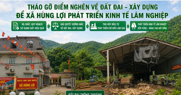 Tháo gỡ “điểm nghẽn” về đất đai, xây dựng để đưa xã Hùng Lợi bứt phá từ kinh tế lâm nghiệp