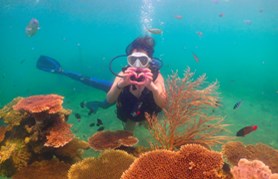 Pháp lý và đô thị hiện hữu – Bộ đôi giá trị nâng tầm sức hút đầu tư La Tiên Villa - Ảnh 3 Pháp lý và đô thị hiện hữu – Bộ đôi giá trị nâng tầm sức hút đầu tư La Tiên Villa - Ảnh 3