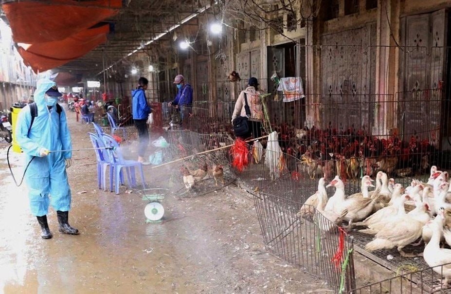 Phun thuốc khử trùng phòng, chống dịch bệnh cúm gia cầm tại chợ gia cầm Hà Vỹ.