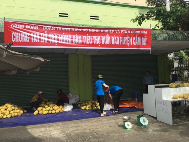 C&ocirc;ng đo&agrave;n vi&ecirc;n chức Sở N&ocirc;ng nghiệp v&agrave; ph&aacute;t triển n&ocirc;ng th&ocirc;n mở điểm b&aacute;n bưởi 