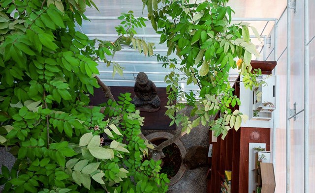 Nhà cũ bỏ hoang 20 năm được bọc hoàn toàn bằng tấm nhựa - Ảnh 2