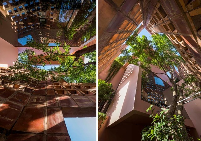 C&aacute;c tấm pin mặt trời v&agrave; bộ thu nước mưa cũng tham gia v&agrave;o qu&aacute; tr&igrave;nh thiết kế bền vững. Những khung cửa sổ rộng lớn, những khe hở bằng gốm xen kẽ được kết nối bởi khu rừng trong nh&agrave; tạo n&ecirc;n một khung tranh sống động nhiều lớp. &nbsp;