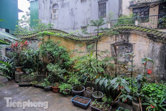 Tường r&agrave;o với tạo kiểu uốn lượn h&igrave;nh rồng.