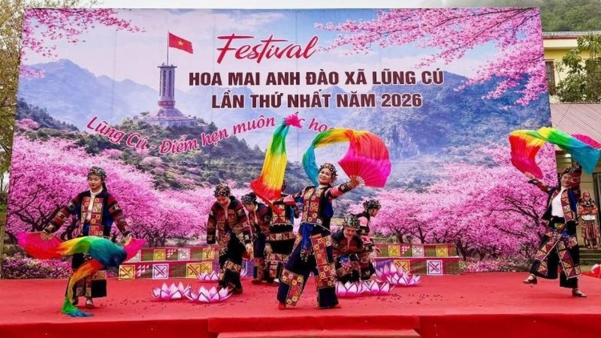 Khai mạc Festival Hoa mai anh đào xã Lũng Cú năm 2026