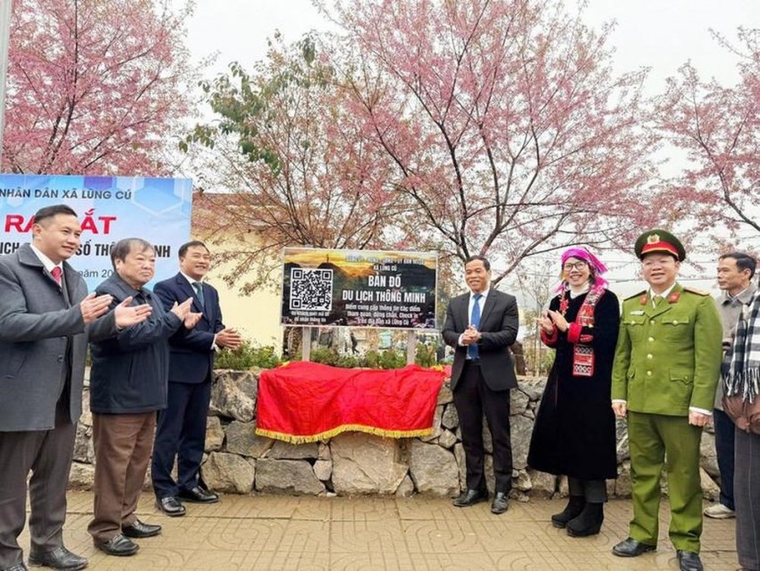 Khai mạc Festival Hoa mai anh đào xã Lũng Cú năm 2026