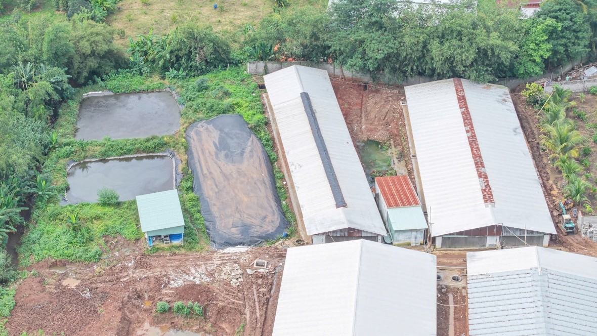 Trại heo bốc mùi phân thối nồng nặc ở Đồng Nai: Người dân mong chính quyền xử lý dứt điểm Trại heo bốc mùi phân thối nồng nặc ở Đồng Nai: Người dân mong chính quyền xử lý dứt điểm