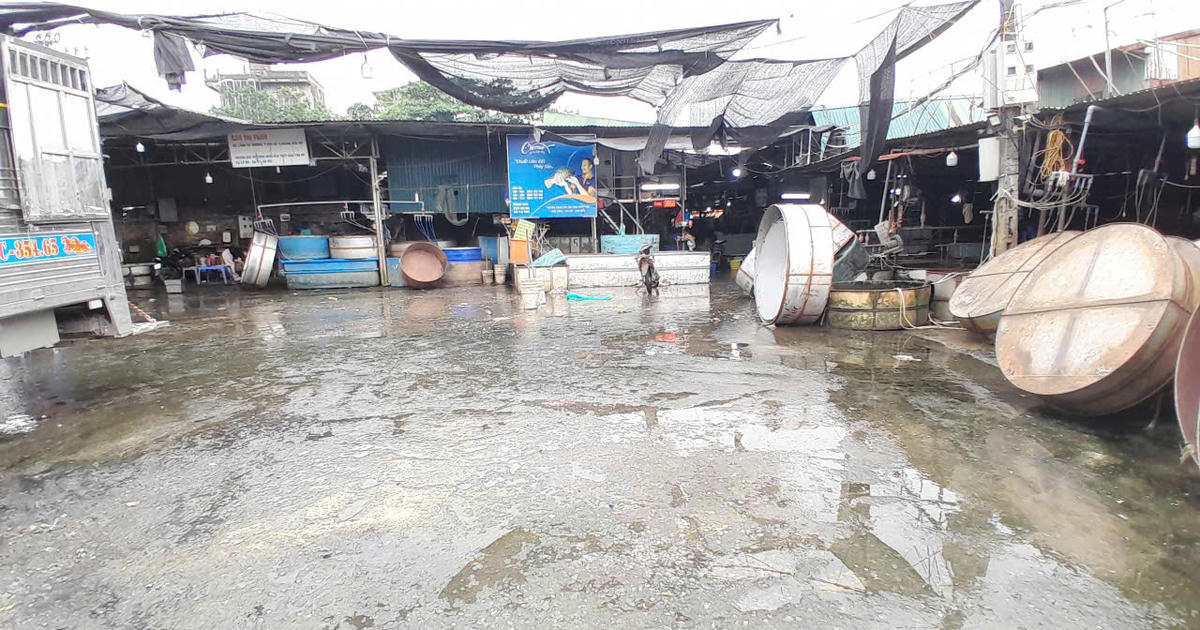 Cận cảnh chợ cá lớn nhất Hà Nội trước ngày giải toả