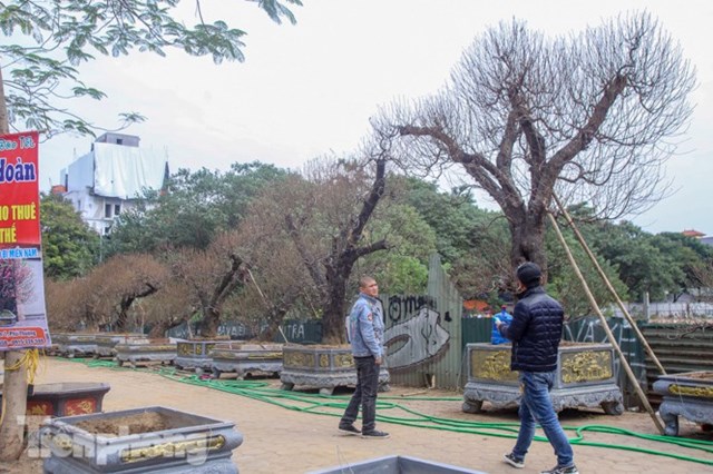 Nhiều người ti&ecirc;u d&ugrave;ng đ&atilde; đến xem v&agrave; hỏi mua sớm.