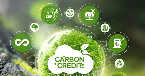 Sở giao dịch chứng khoán giám sát giao dịch có dấu hiệu vi phạm trên sàn tín chỉ carbon