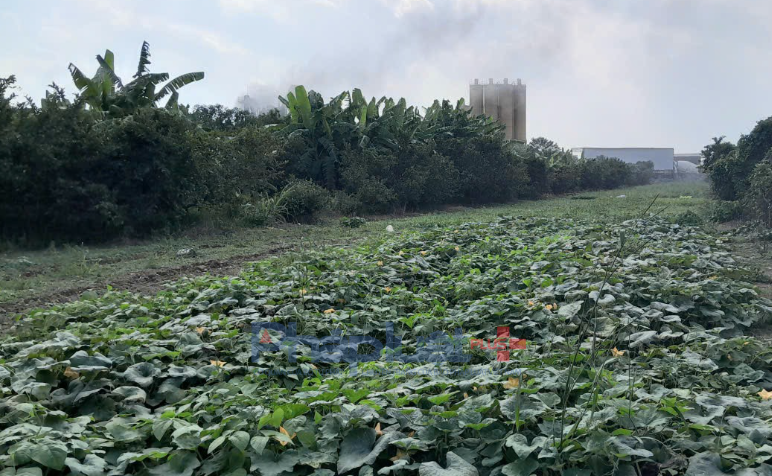 Bát Tràng, Hà Nội: Bến bãi, trạm trộn bê tông xả khói bụi bức tử người dân thành phố
