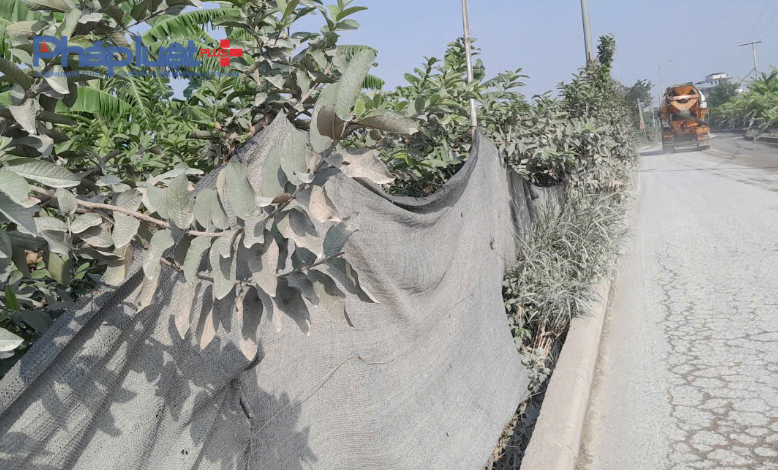 Bát Tràng, Hà Nội: Bến bãi, trạm trộn bê tông xả khói bụi bức tử người dân thành phố