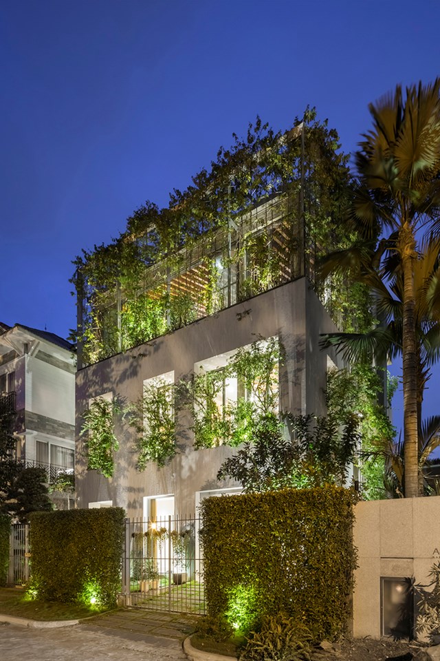 Ng&ocirc;i nh&agrave; v&agrave;o buổi tối lung linh như một khu rừng ph&aacute;t s&aacute;ng, nổi bật giữa c&aacute;c c&ocirc;ng tr&igrave;nh xung quanh.