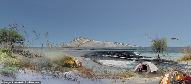 Rừng ngập mặn được sử dụng như một biện ph&ograve;ng chống lũ lụt hiệu quả.