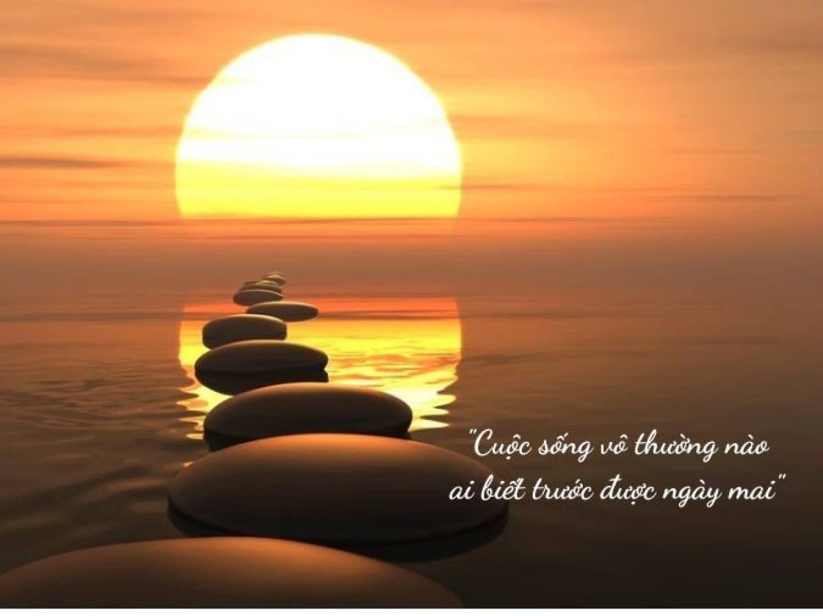 Con tàu đời người giữa biển vô thường