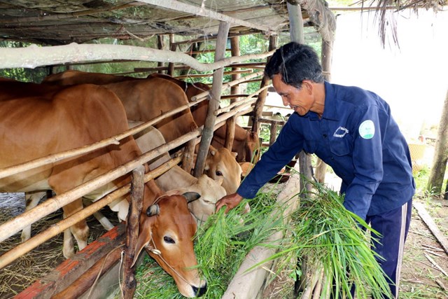 tỷ le