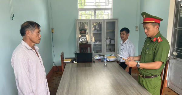 Khởi tố chủ trang trại nuôi hơn 4.000 con heo xả hàng trăm tấn chất thải ra môi trường