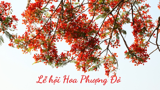 Lễ hội Hoa Phượng Đỏ 2023 “Hải Phòng – Tỏa sáng miền cửa biển” - Ảnh 1. Lễ hội Hoa Phượng Đỏ 2023 “Hải Phòng – Tỏa sáng miền cửa biển” - Ảnh 1.