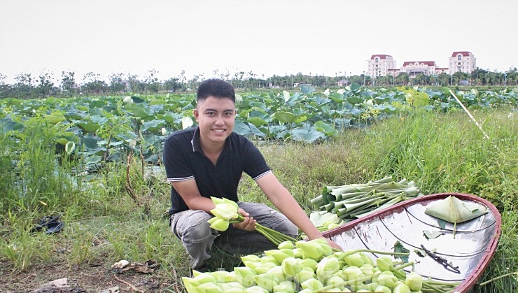 MÔ HÌNH KHỞI NGHIỆP TỪ SEN GẮN VỚI KINH TẾ TUẤN HOÀN CỦA CHÀNG THANH NIÊN GEN Z TẠI MÊ LINH