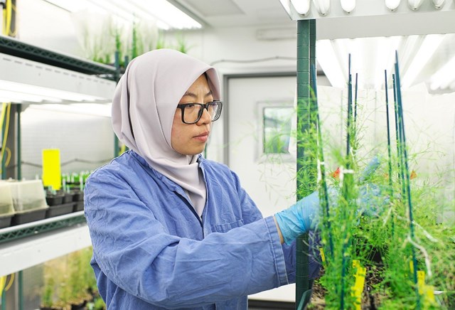 TS. Nadia Radzman sẽ mang đến những kinh nghiệm thực tiễn từ c&aacute;c nghi&ecirc;n cứu v&agrave; dự &aacute;n của b&agrave; trong lĩnh vực n&ocirc;ng nghiệp v&agrave; thực phẩm tại Tuần lễ Khoa học C&ocirc;ng nghệ VinFuture năm nay. Ảnh: IE Cambridge. &nbsp;