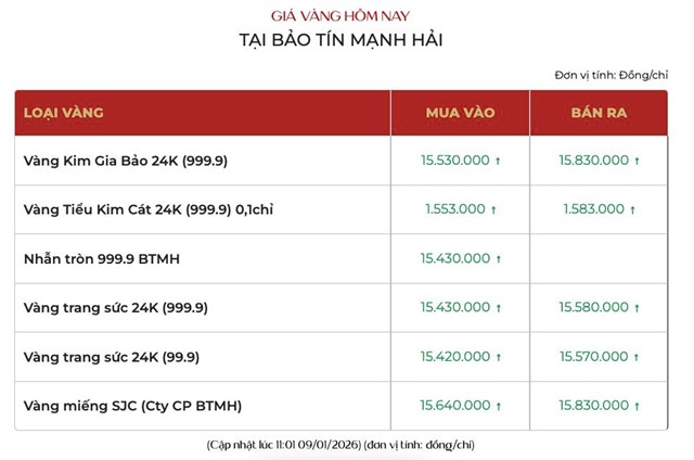 Giá vàng ngày 9/1: Vàng thế giới đi ngang, vàng miếng SJC bật tăng trở lại  - Ảnh 2