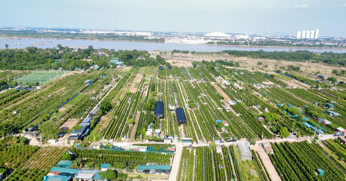 Giải phóng mặt bằng cầu Tứ Liên: Tiếp cận từ quan điểm lấy người dân làm trung tâm