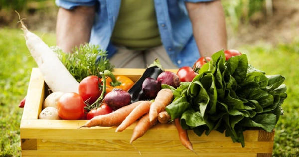 Luật hóa cơ chế quản lý mã số vùng trồng để giữ uy tín nông sản xuất khẩu