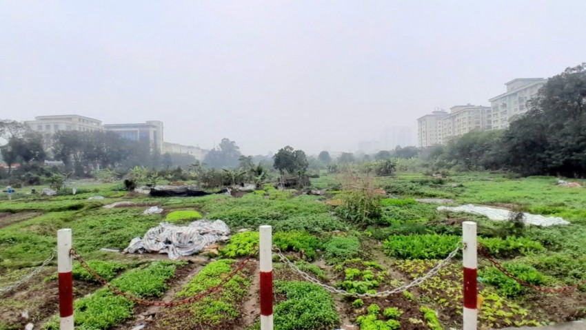 Nhếch nhác dự án gần 2 thập kỷ chưa triển khai bên cạnh trụ sở UBND phường Hoàng Mai