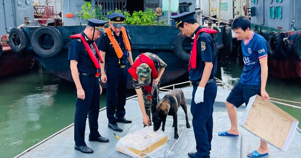 Hải quan khu vực VIII tăng mạnh xử lý buôn lậu qua biên giới