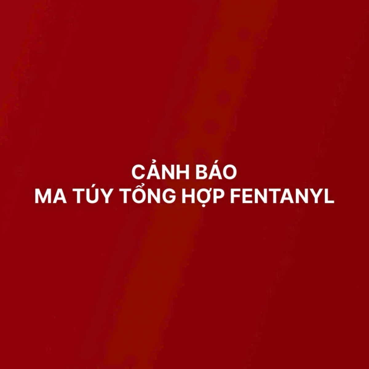 Công an Hà Nội cảnh báo ma túy tổng hợp Fentanyl