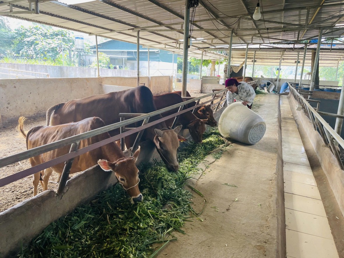 Thuận Hòa vùng đất giàu tiềm năng đánh thức du lịch