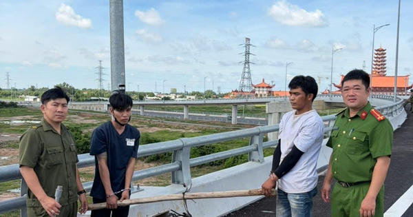Bắt 2 đối tượng trộm cắp tài sản trên cao tốc ở Đồng Nai