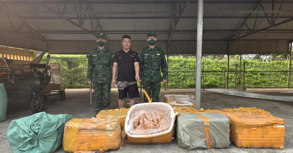 Bắt giữ đối tượng vận chuyển gần 500kg trứng gà non đông lạnh không rõ nguồn gốc tại khu vực biên giới