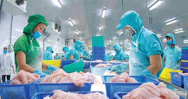 Ngành thủy sản phục hồi xuất khẩu, đạt 4,67 tỷ USD trong 5 tháng đầu năm