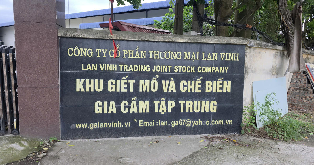 Phù Đổng (Hà Nội): Hàng loạt lò mổ gia cầm bị xử phạt vì xả thải vượt quy chuẩn