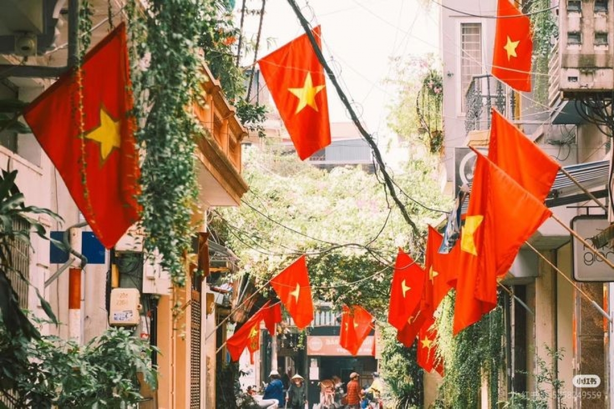 TP.HCM phát động treo cờ Tổ quốc chào mừng ngày bầu cử