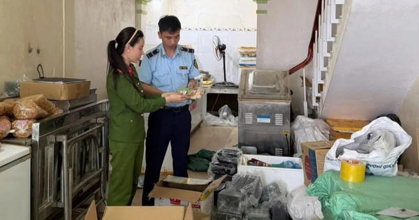 Khởi tố giám đốc làm giả 