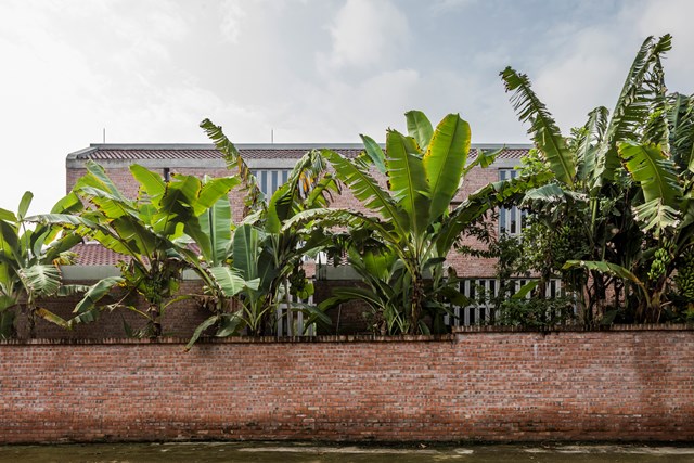 C&acirc;y trồng trong vườn cũng được chọn từ những c&acirc;y địa phương.