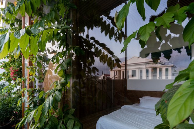 Kiến tr&uacute;c sư cũng bổ sung th&ecirc;m nhiều c&acirc;y cối để tạo kh&ocirc;ng gian xanh trong nh&agrave;.