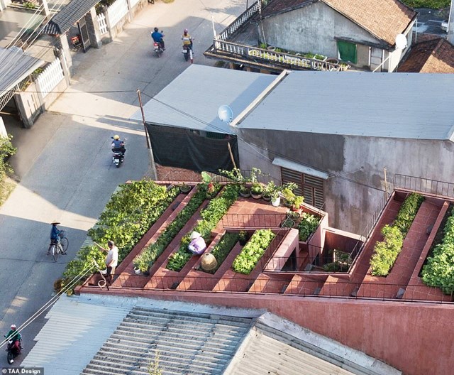 Ng&ocirc;i nh&agrave; 7 bậc thang tr&ecirc;n m&aacute;i ở Quảng Ng&atilde;i đ&atilde; gi&agrave;nh chiến thắng ở hạng mục Nh&agrave; ở n&ocirc;ng th&ocirc;n v&agrave; được lựa chọn l&agrave; Dự &aacute;n kiến tr&uacute;c của năm. Phần m&aacute;i của c&ocirc;ng tr&igrave;nh được thiết kế theo dạng bậc thang, vừa gi&uacute;p gia chủ dễ di chuyển vừa tạo độ dốc tho&aacute;t nước. Theo Dezeen, thiết kế của ng&ocirc;i nh&agrave; l&agrave; giải ph&aacute;p s&aacute;ng tạo để giải quyết vấn đề đ&ocirc; thị h&oacute;a n&ocirc;ng th&ocirc;n, ph&ugrave; hợp với lối sống của người địa phương.