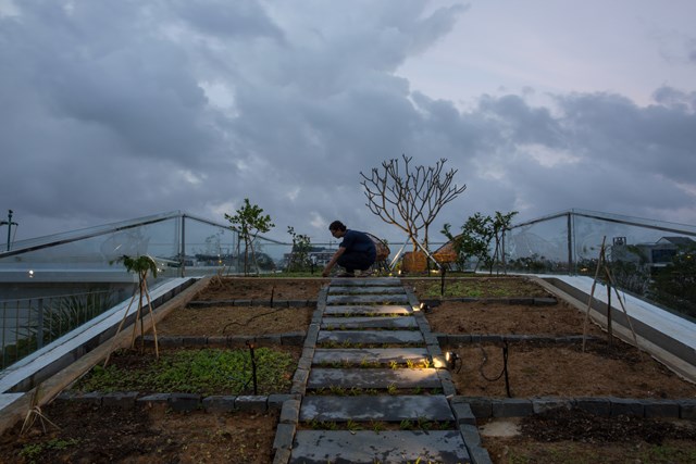 Sau 4 năm thực hiện nhiều dự &aacute;n, c&aacute;c kiến tr&uacute;c sư thừa nhận rằng tr&ecirc;n c&ugrave;ng một nền b&ecirc; t&ocirc;ng, khu trồng c&acirc;y c&oacute; sức bền tốt hơn c&aacute;c khu kh&aacute;c. Khu vực kh&ocirc;ng c&acirc;y thường c&oacute; vết nứt tr&ecirc;n bề mặt dẫn đến r&ograve; rỉ nước. V&igrave; vậy, c&aacute;c kiến tr&uacute;c sư khuyến kh&iacute;ch mọi người n&ecirc;n trồng c&acirc;y tr&ecirc;n s&acirc;n thượng.&nbsp;N&oacute; kh&ocirc;ng chỉ tốt hơn cho m&ocirc;i trường m&agrave; c&ograve;n bảo vệ ch&iacute;nh c&ocirc;ng tr&igrave;nh x&acirc;y dựng.
