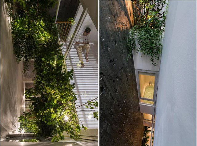 Họ hy vọng l&agrave;m sống lại gi&aacute; trị cốt l&otilde;i của kiến tr&uacute;c cơ bản để mang lại cuộc sống tốt đẹp v&agrave; t&iacute;ch cực hơn cho gia đ&igrave;nh.