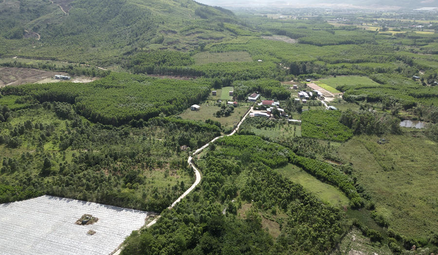 Phú Thọ chuyển đổi hơn 56 ha rừng làm khu nhà ở và đường giao thông