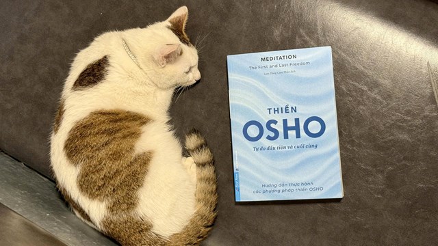 ‘Thiền - Tự do đầu tiên và cuối cùng’ -  Cẩm nang thiền trong đời sống hiện đại  - Ảnh 1