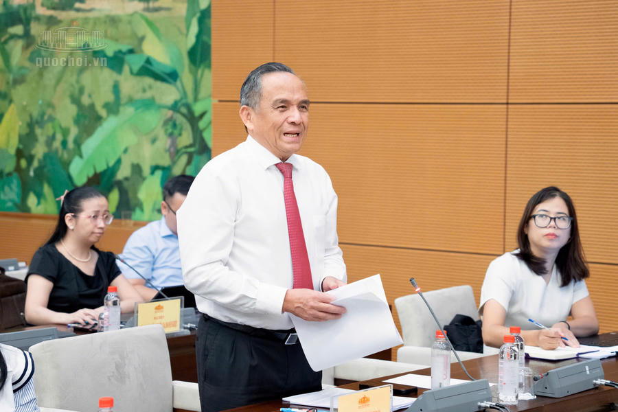 Chủ tịch Hiệp hội Bất động sản Thành phố Hồ Chí Minh Lê Hoàng Châu phát biểu tại phiên họp. Ảnh: quochoi.vn