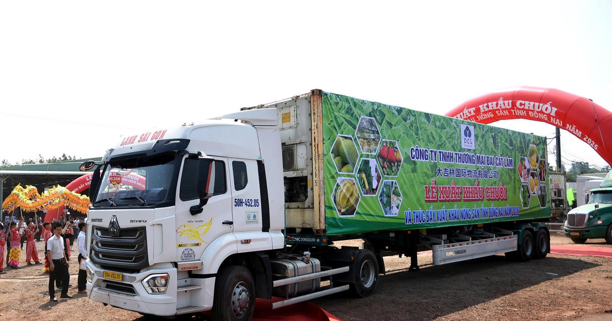 Đồng Nai xuất khẩu 220 tấn chuối tươi