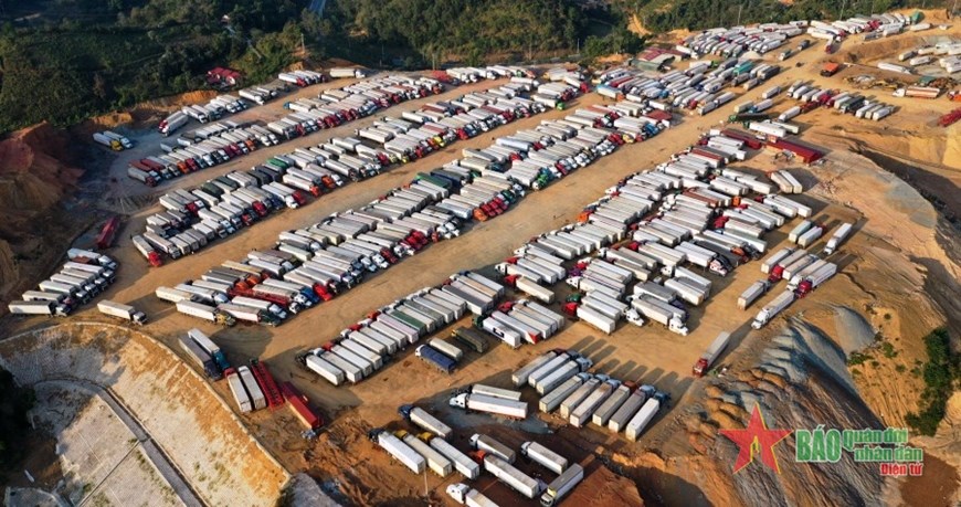 Xuất khẩu chính ngạch: Giải pháp nào?