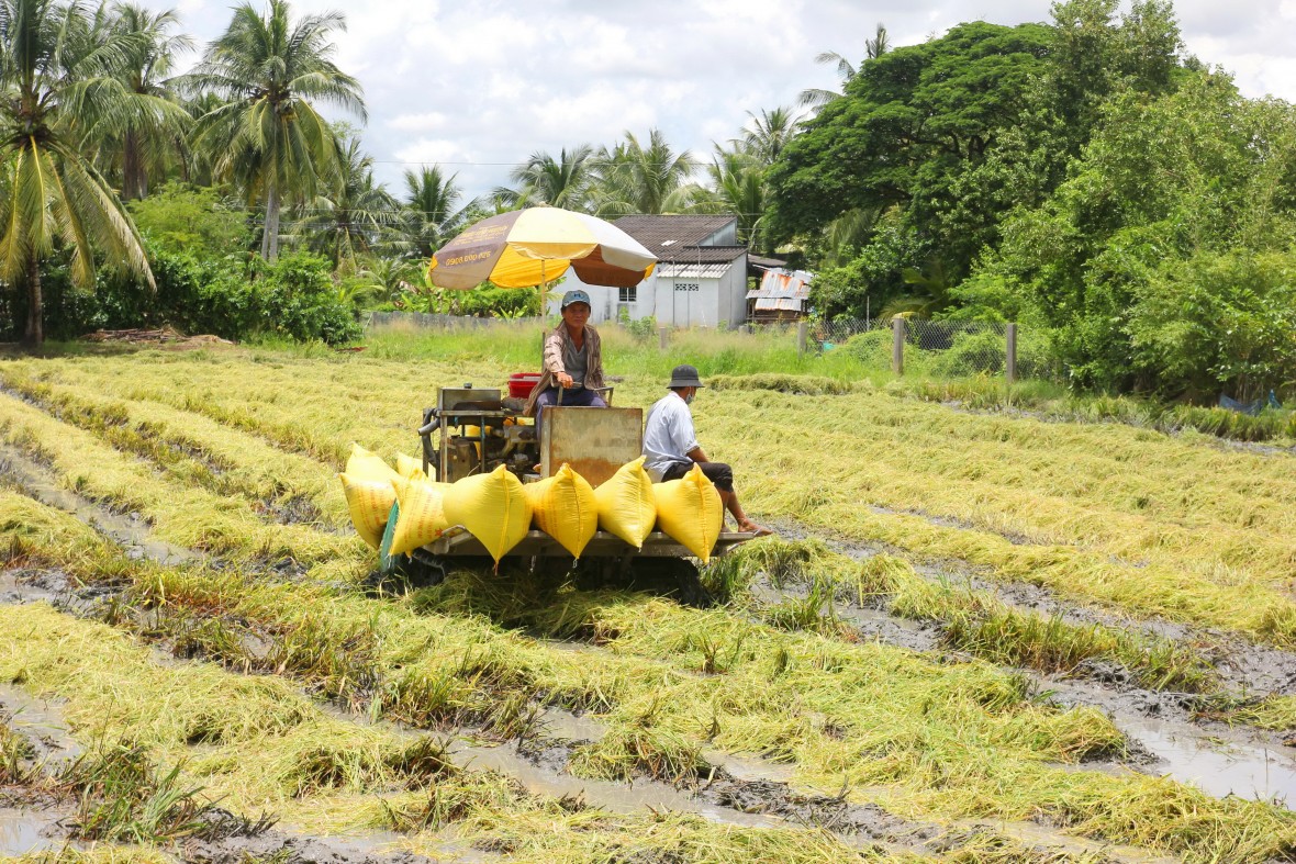 Cà Mau: Hưng Hội nỗ lực vượt khó, tạo nền tảng phát triển bền vững giai đoạn mới Cà Mau: Hưng Hội nỗ lực vượt khó, tạo nền tảng phát triển bền vững giai đoạn mới