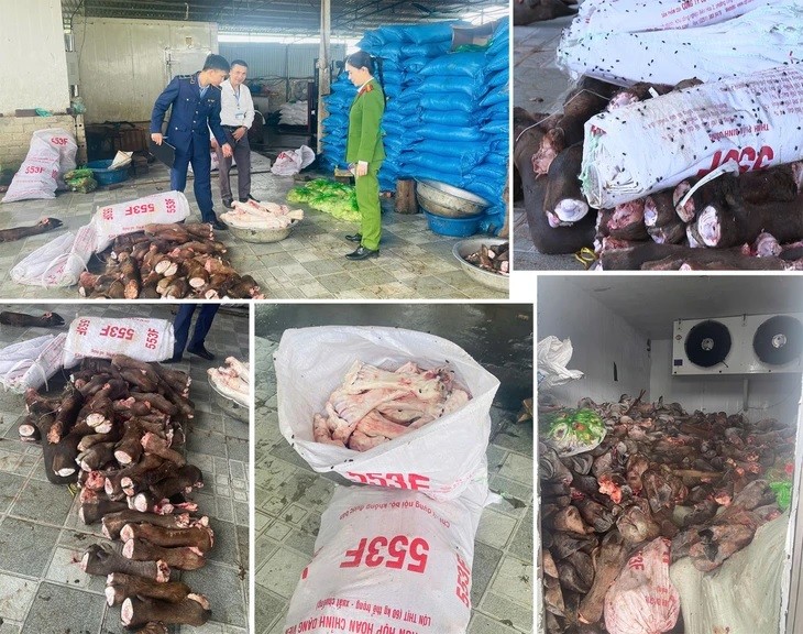 Lực lượng chức năng kiểm tra kho chứa gần 6 tấn thực phẩm trôi nổi, không nguồn gốc đang chuẩn bị sơ chế, tẩu tán đến các quán ăn trên địa bàn. Lực lượng chức năng kiểm tra kho chứa gần 6 tấn thực phẩm trôi nổi, không nguồn gốc đang chuẩn bị sơ chế, tẩu tán đến các quán nhậu trên địa bàn.